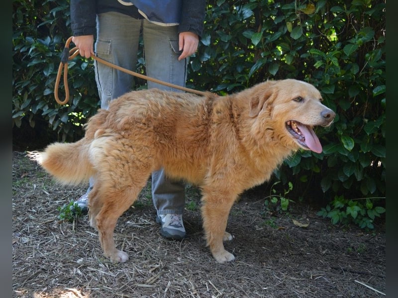Gibble - Wie ein Wort, das auf der Zunge liegt ...