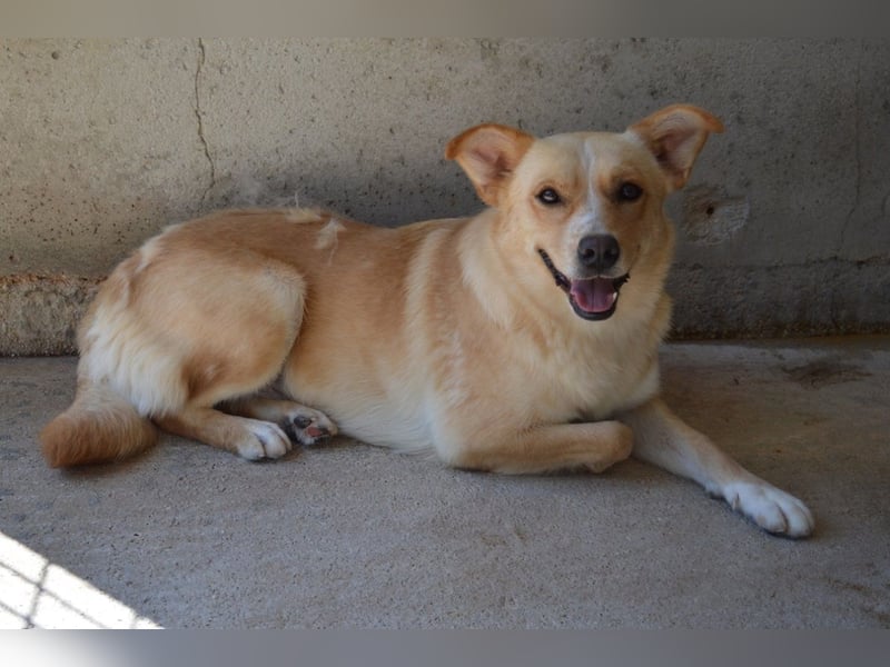 Sigrid - es ist wankelmütig, dieses Schicksal