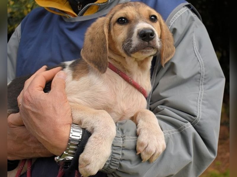 Wasker - Als Mama noch bei uns war