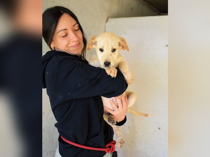 Sirette - ...und Sniffy halten zusammen