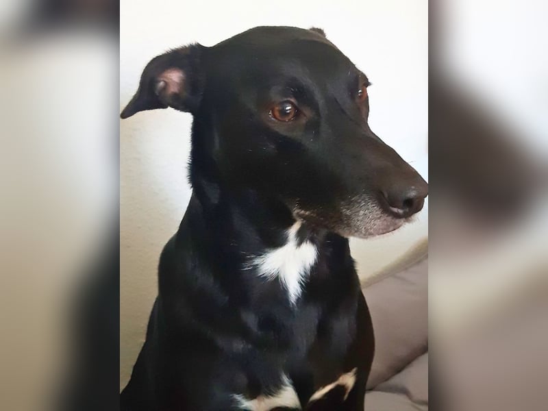 Taya - Manchmal hält das Glück nicht ewig Taya - Manchmal hält das Glück nicht ewig