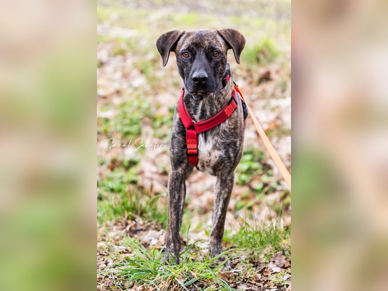 Branson - taut langsam auf und sucht Menschen mit Zeit