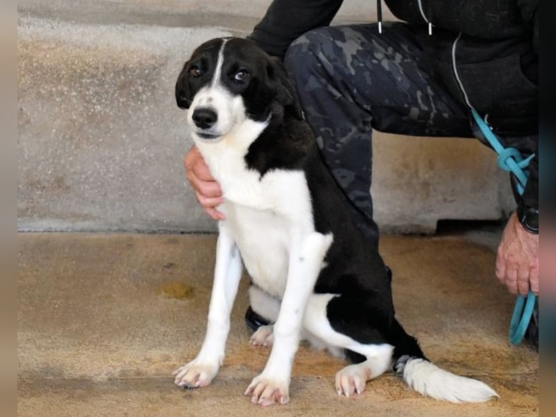 Dorezia - Teamplayerin sucht Stammplatz