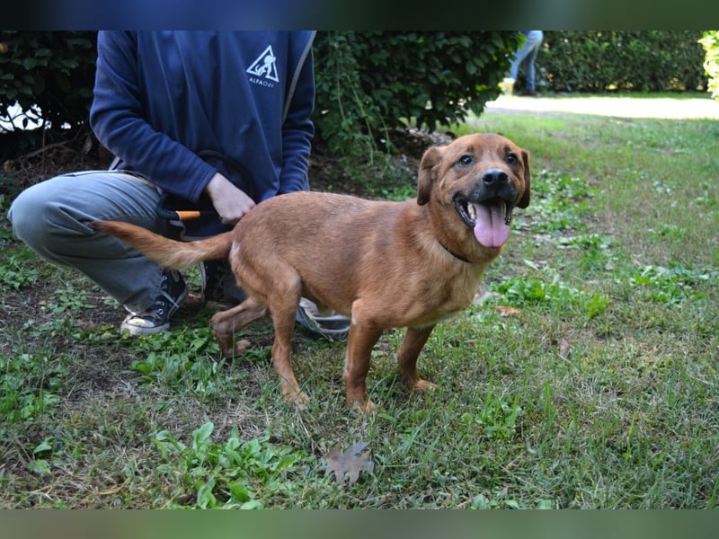 Monaldo - In der Ruhe liegt die Kraft!
