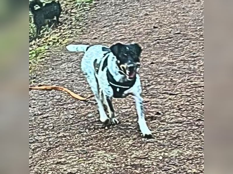 Bice - Das hat sie nicht verdient