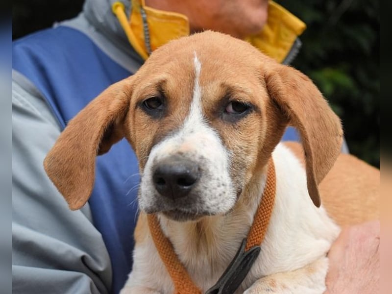 Waylo - Als Mama noch bei uns war