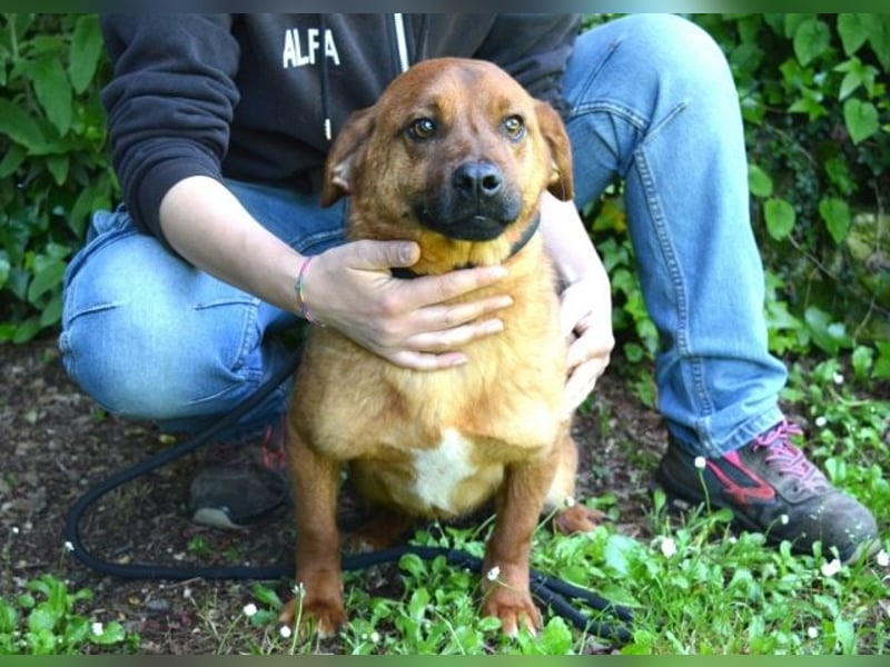 Monaldo - In der Ruhe liegt die Kraft!