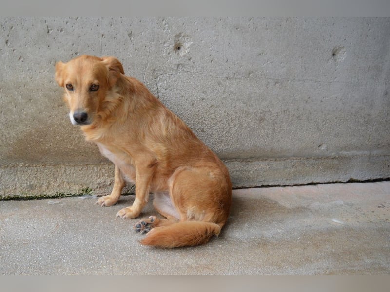 Ferelith - Was wäre, wenn....