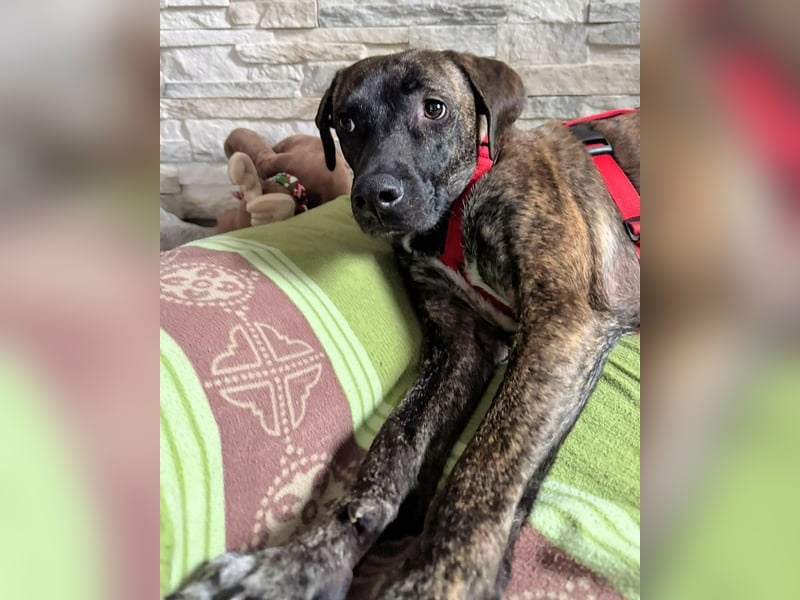 Branson - taut langsam auf und sucht Menschen mit Zeit