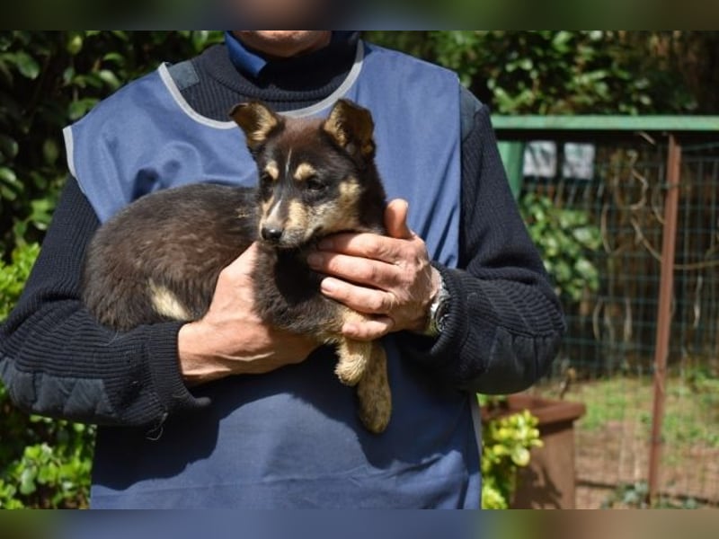 Vionella - Kuckuck...hallo...sind da draußen Menschen?
