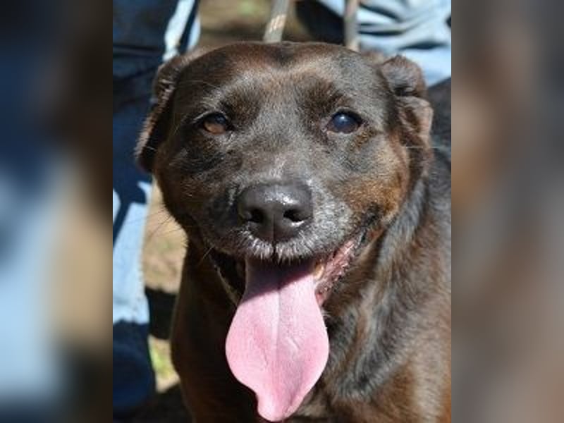 Rellyt - mit dem ganz besonderen Blick Rellyt - mit dem ganz besonderen Blick