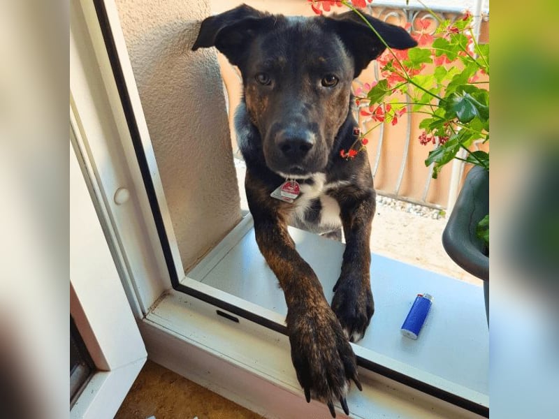 Adam - Sieben Jahre - und noch ein ganzes Leben vor sich