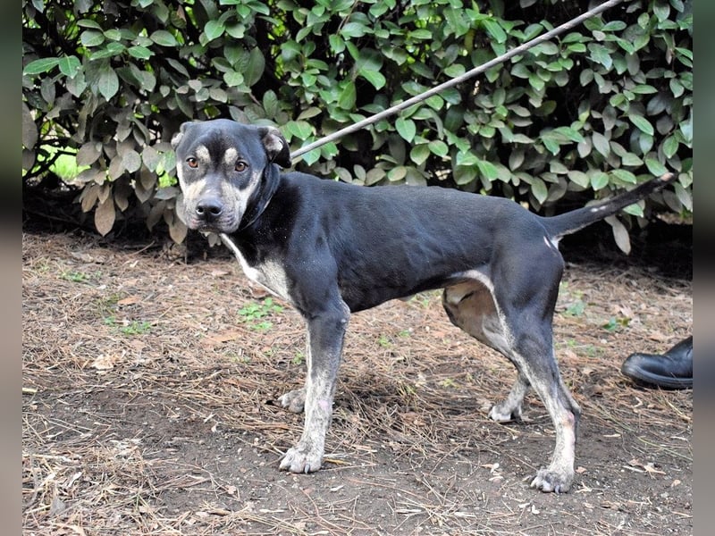 Kristian - SOS - Braucht ganz dringend ein Ausreiseticket