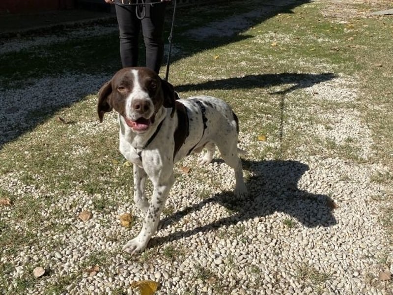 Sandro - Liebster Freigeist sucht Familie (gerne mit Kindern)