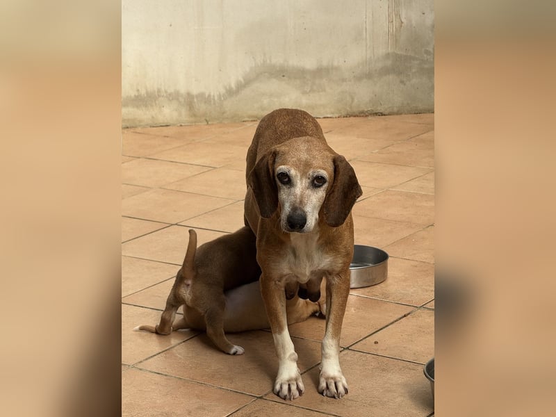 Silke - Zehn Jahre Stärke, jetzt ist sie an der Reihe