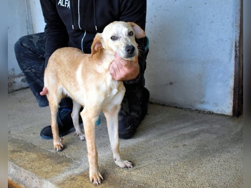 Boris - Wie lange würdest du das aushalten?