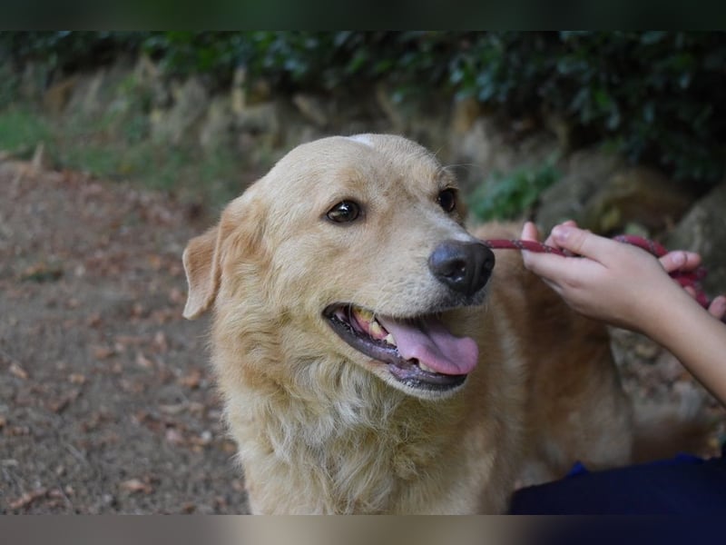 Gibble - Wie ein Wort, das auf der Zunge liegt ...