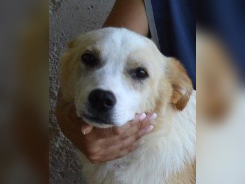 Simbad - Ein verlässlicher Partner...