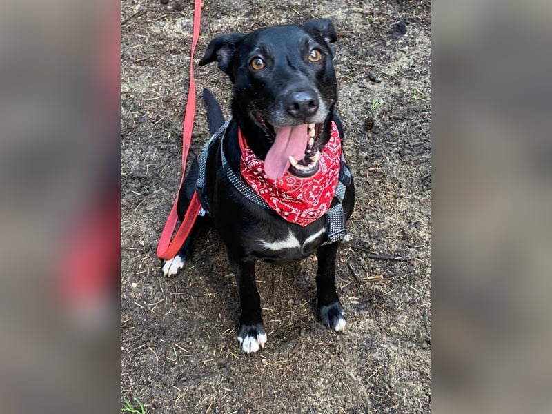 Taya - Manchmal hält das Glück nicht ewig