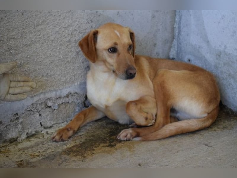 Bendix - wenn du mutig bist, dann bin ich es auch!