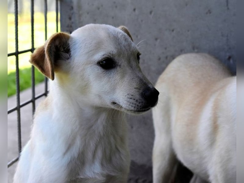 Elvio - seine Mut-Münzen sind fast aufgebraucht