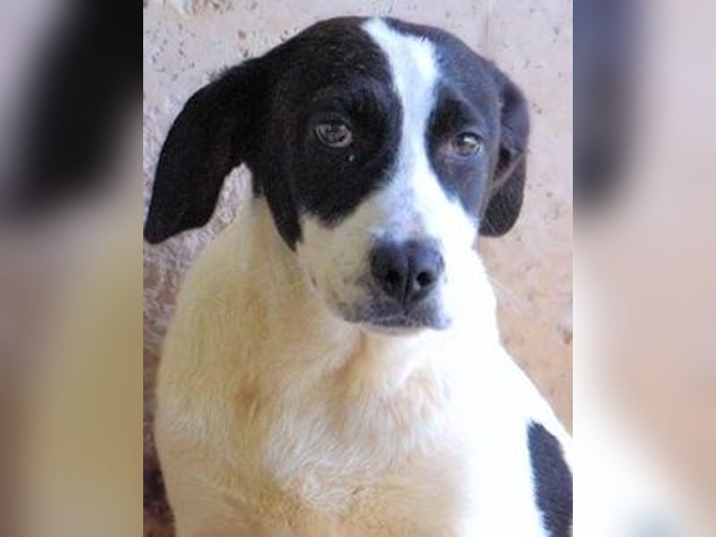 Raakel - Ein Anfang, der nie kam