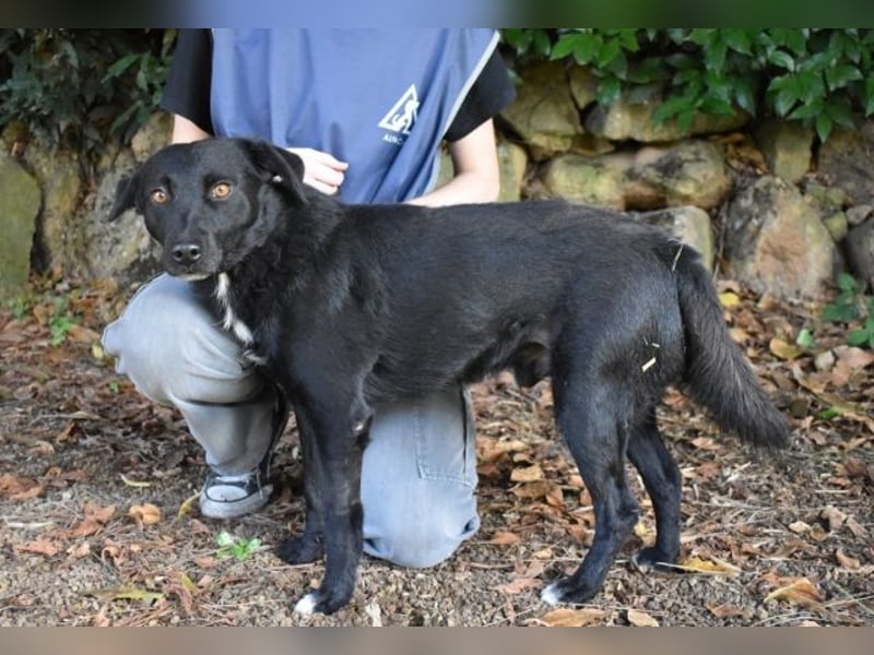 Rafeed - Möge der kleine Drache ihn beschützen