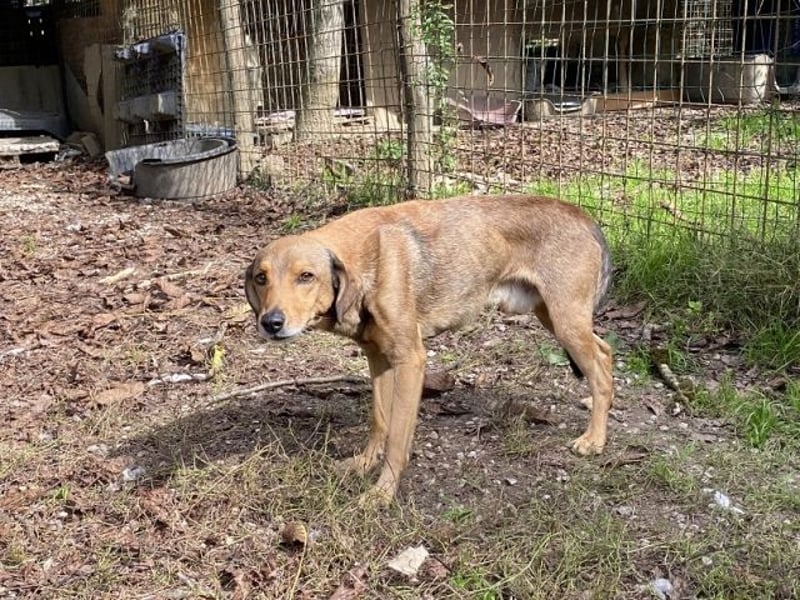 Kiro - Einmal alles auf (Neu)Anfang bitte!