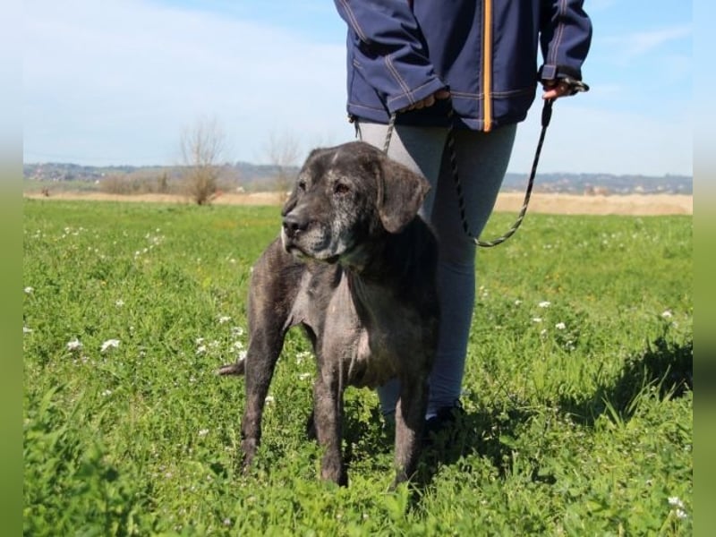 Gweni - SOS - Hoffnung auf ein Ende der Odyssee