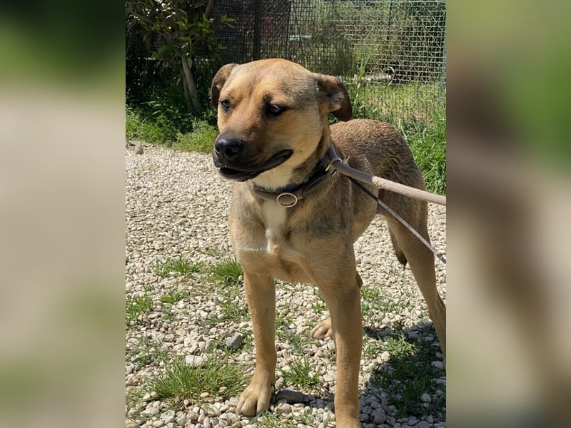 Faudor - Bist du die letzte Station meiner Odyssee? Faudor - Bist du die letzte Station meiner Odyssee?