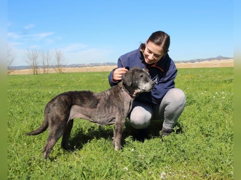 Gweni - SOS - Hoffnung auf ein Ende der Odyssee