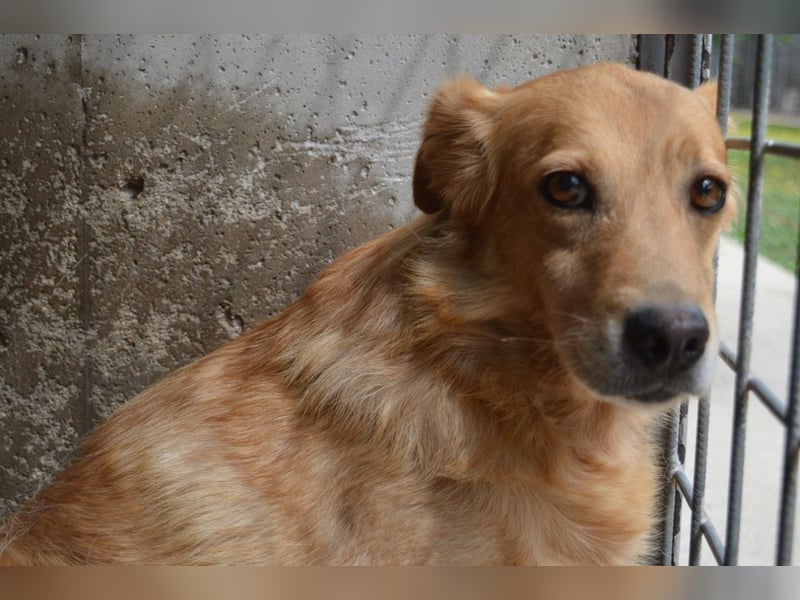 Ferelith - Was wäre, wenn....