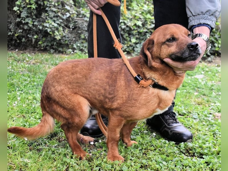 Monaldo - In der Ruhe liegt die Kraft!