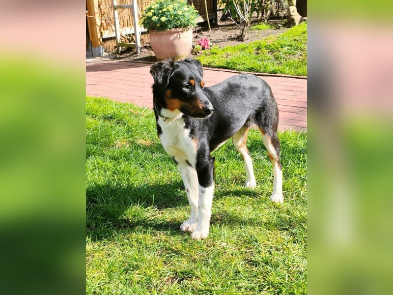 Zelia - Menschen zum Lachen bringen, das ist der Plan