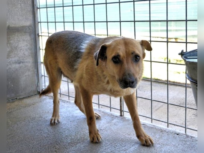 Alphonza - "...alles Gedeihen beruht auf Geduld..."