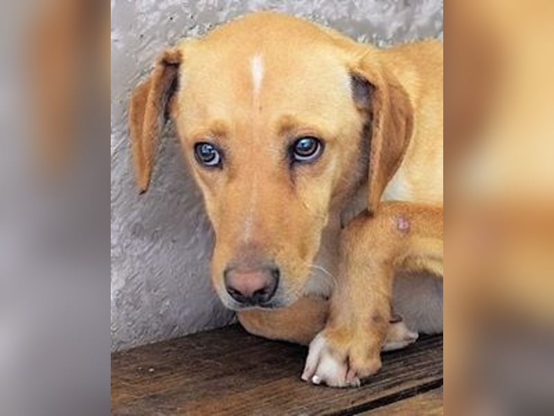 Bendix - wenn du mutig bist, dann bin ich es auch!