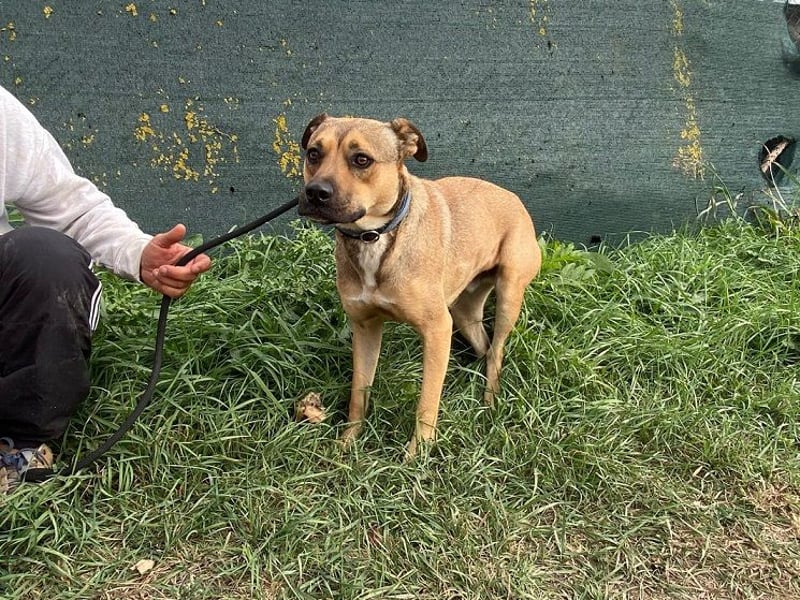 Faudor - Bist du die letzte Station meiner Odyssee?