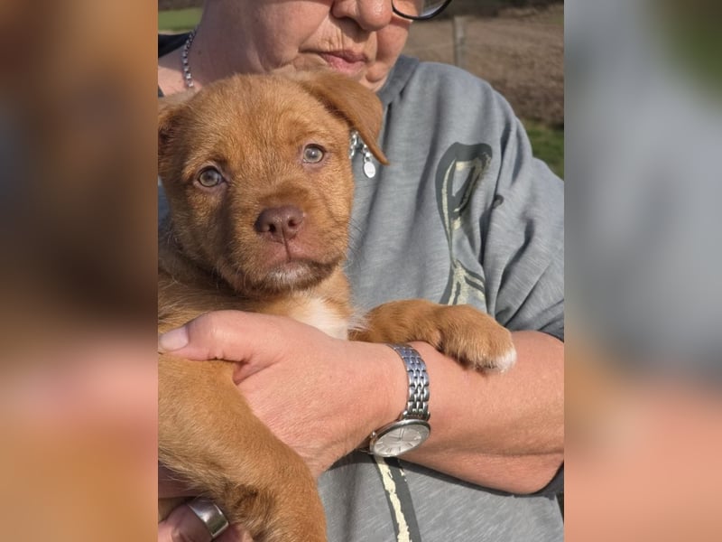 Linou - Also ehrlich, wir sind doch nur Babys!