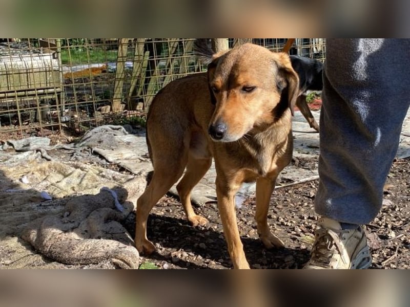 Kiro - Einmal alles auf (Neu)Anfang bitte!