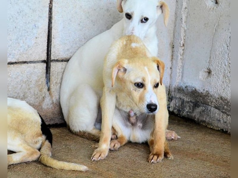 Radford - Ein Anfang, der nie kam