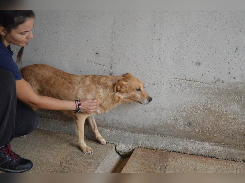 Ferelith - Was wäre, wenn....