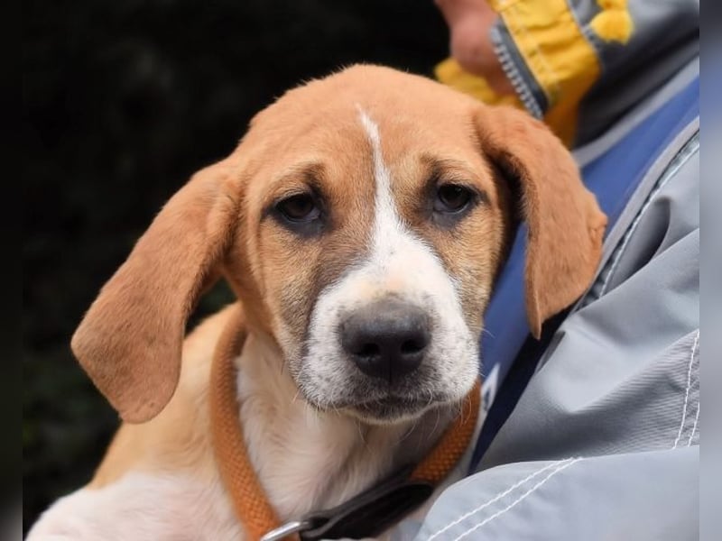 Waylo - Als Mama noch bei uns war