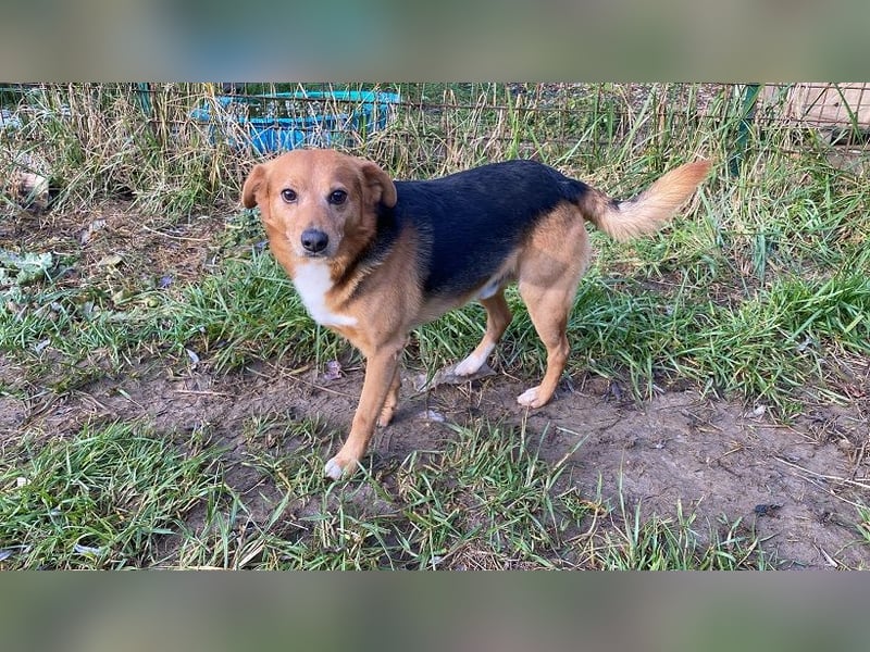 Sandokan - manches braucht ein Wunder