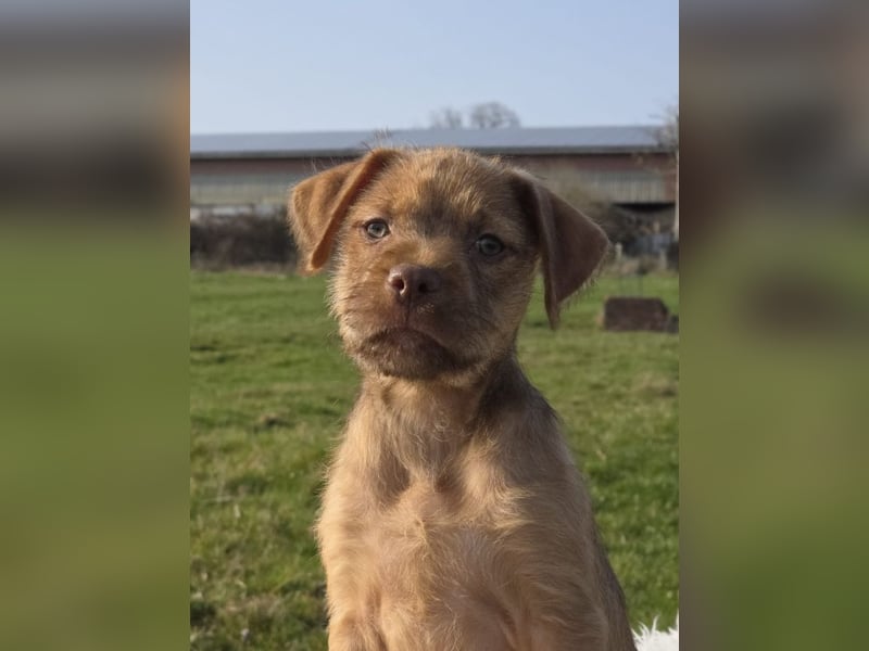 Lumi - Also ehrlich, wir sind doch noch Babys!