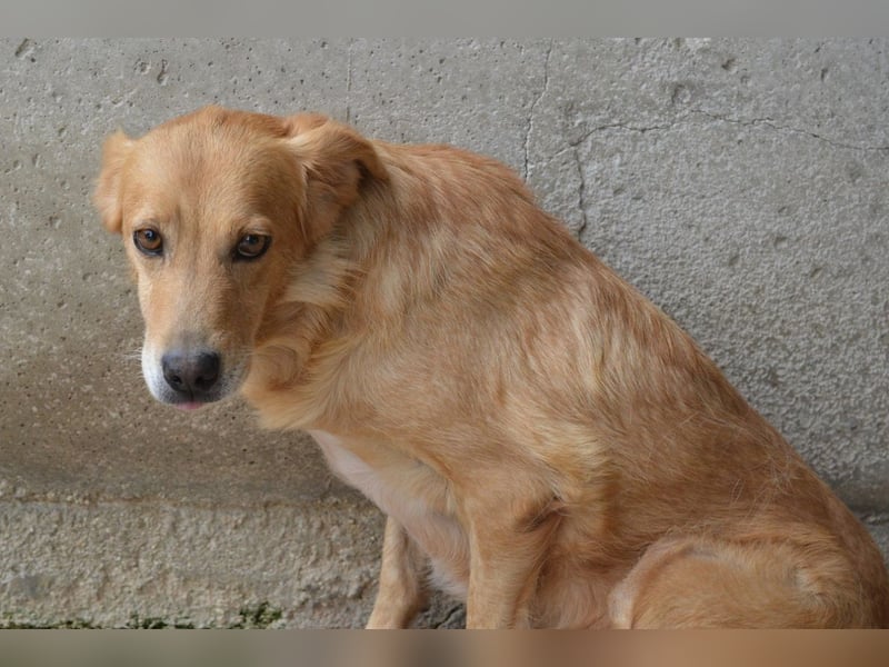 Ferelith - Was wäre, wenn....