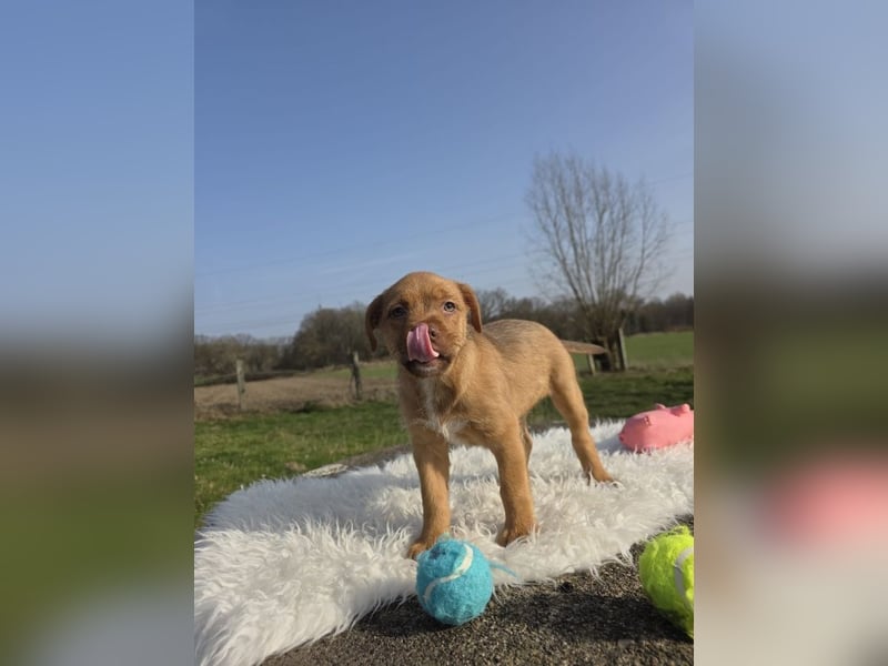 Linou - Also ehrlich, wir sind doch nur Babys!