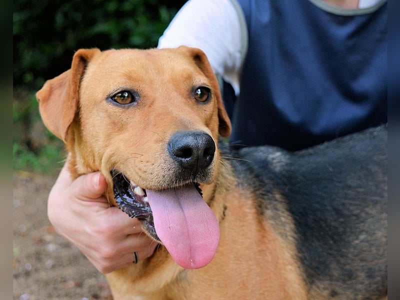 Linnea - Hauptsache ihr großes Herz passt in`s Körbchen