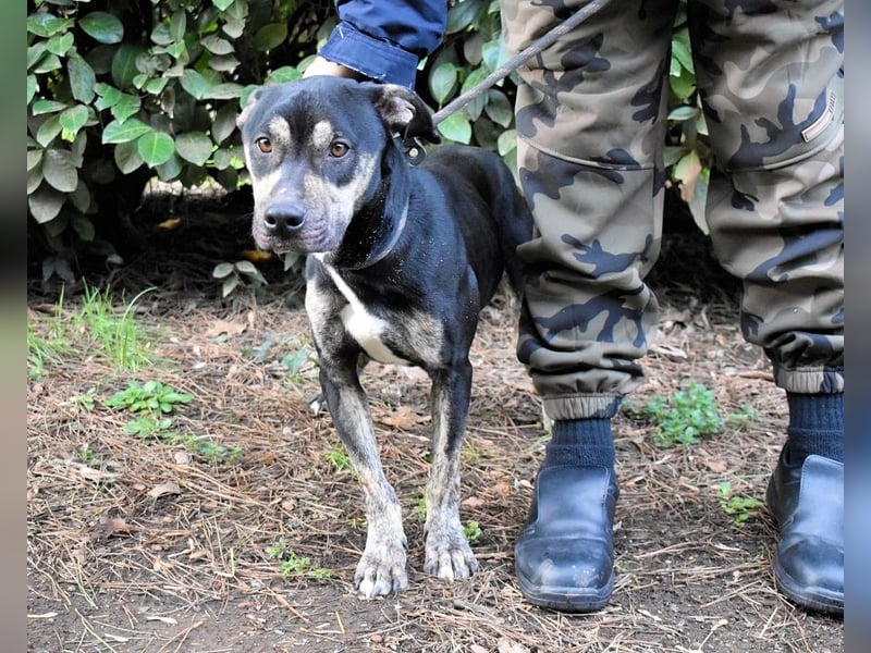 Kristian - SOS - Braucht ganz dringend ein Ausreiseticket