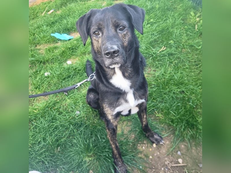 Adam - Sieben Jahre - und noch ein ganzes Leben vor sich