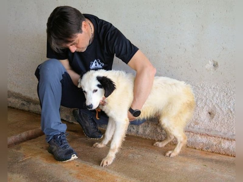 Rylando - Ein Anfang, der nie kam